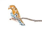 baby room decor/boys room decor/lion/lions/ed emberley/yellow/nursery decor/kids room decor/kids room/Gift Idea/For Baby/baby shower gift