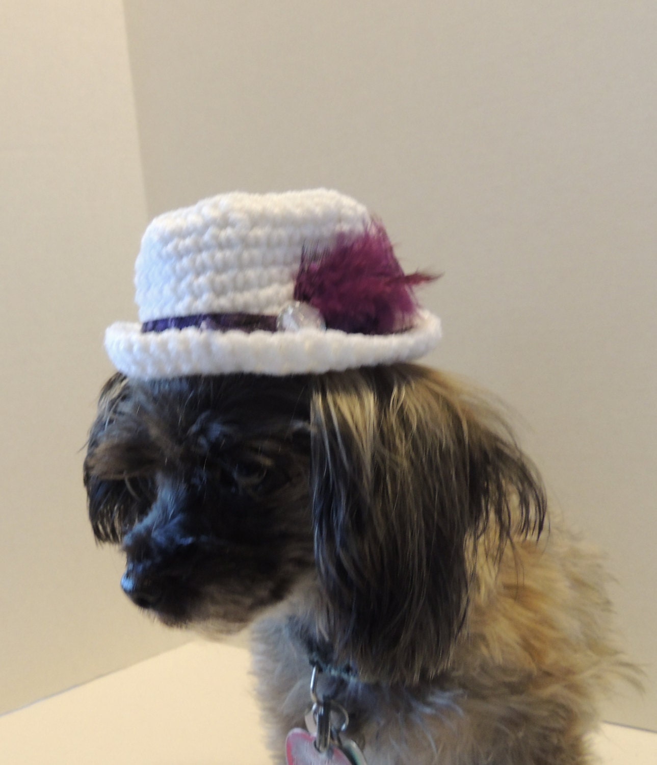 Dog top hat Crochet hat dog top hat cat hat Personalized
