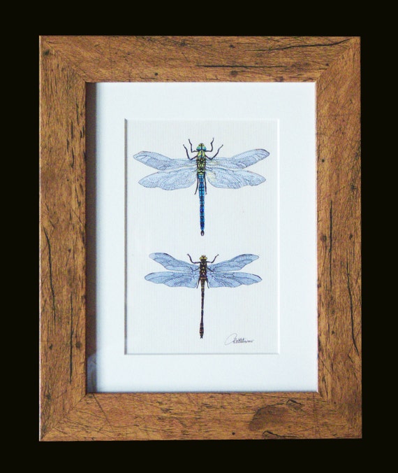 Dragonfly PictureDragonfly PrintDragonfly Wall Decor.