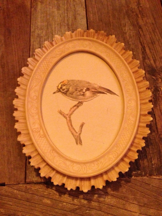 Bird Print Oval Frame Vintage