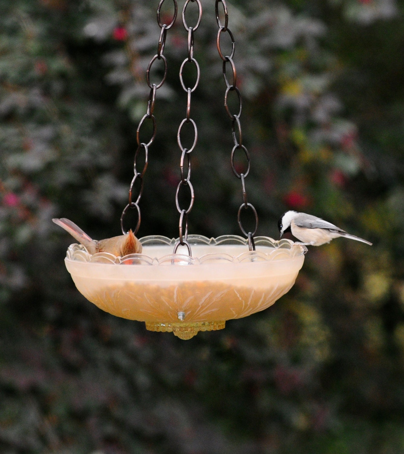 Glass bird feeder garden art Glass garden bird feeder
