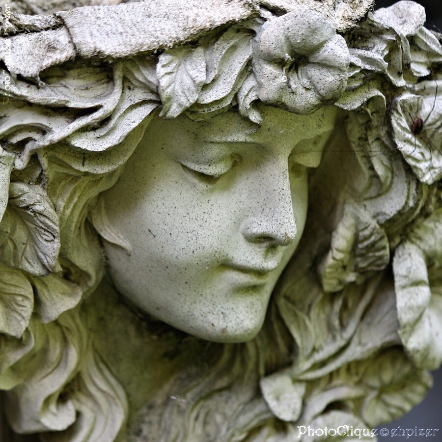 Stone angel essay