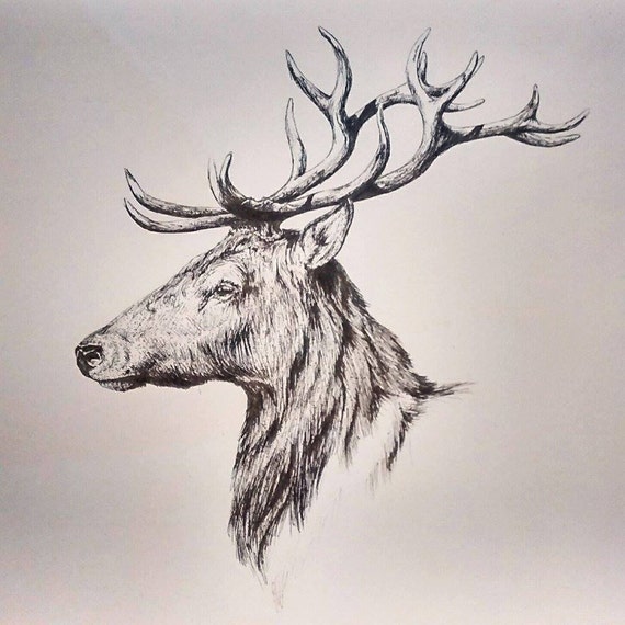 Items similar to Stag Profile - Original Drawing on Etsy