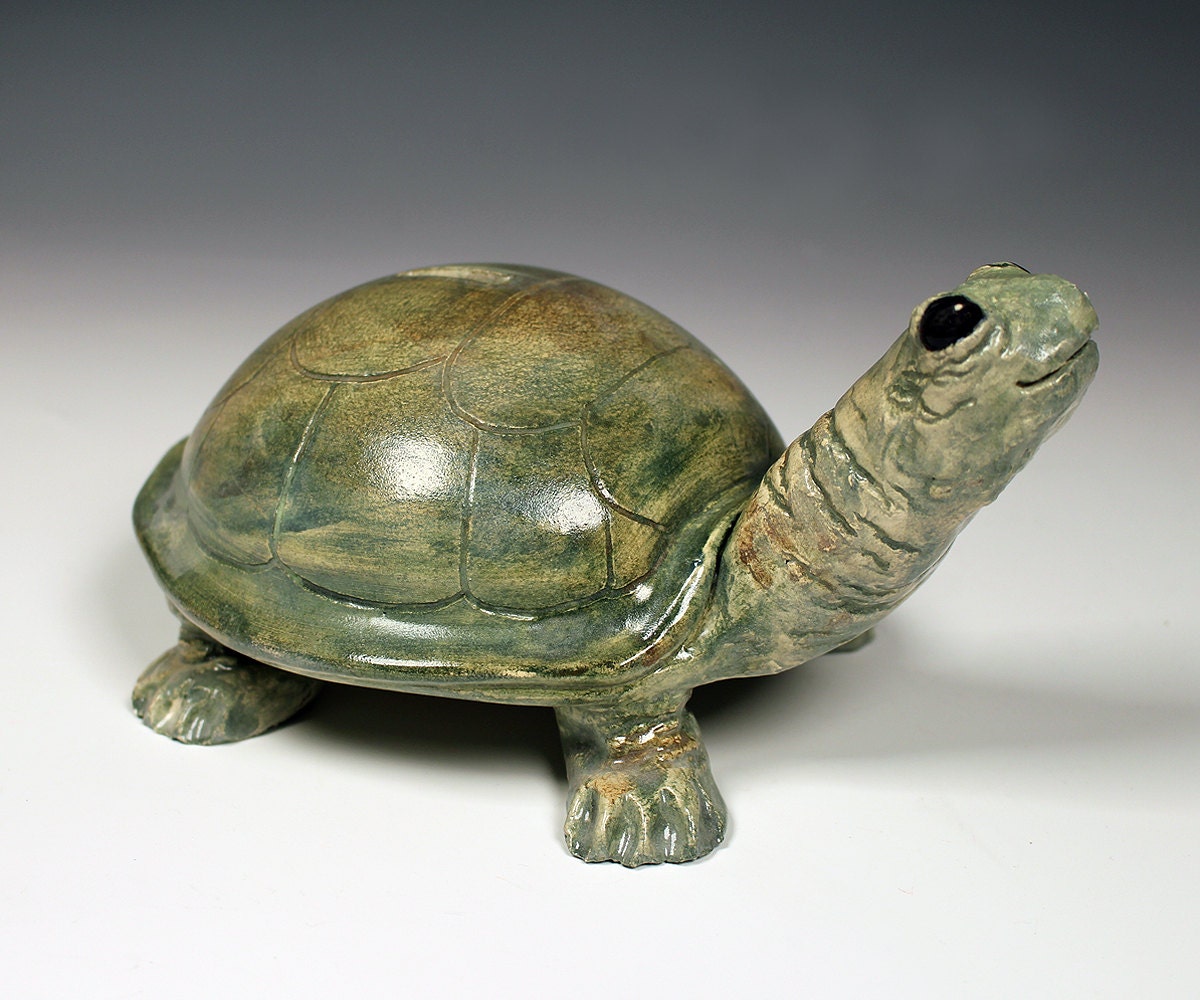 Turtle Coin Bank original functional art by ClayAnimalSculptures