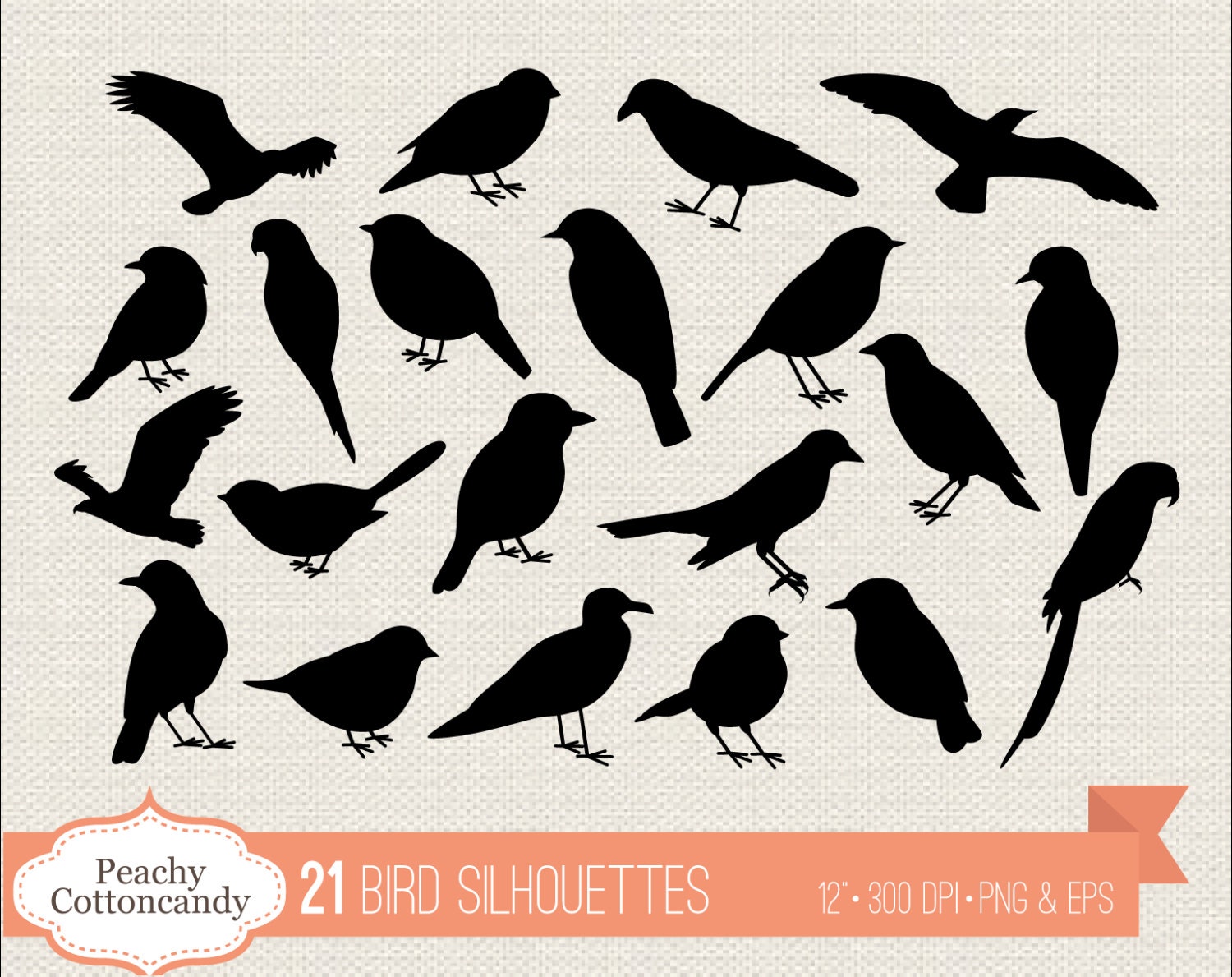 BUY 2 GET 1 FREE 21 Bird Silhouettes Clipart bird silhouette
