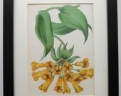 155 - Print with frame, Cottage decor, Cottage paintings, Cottage print, Print for cottage, Painting for cottage, Floral gift, Shabby shic