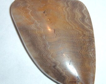 Hells Canyon Petrified Wood Cabochon "rare"