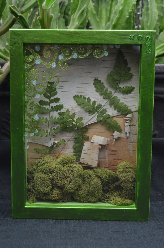 Fern Forest Shadow Box