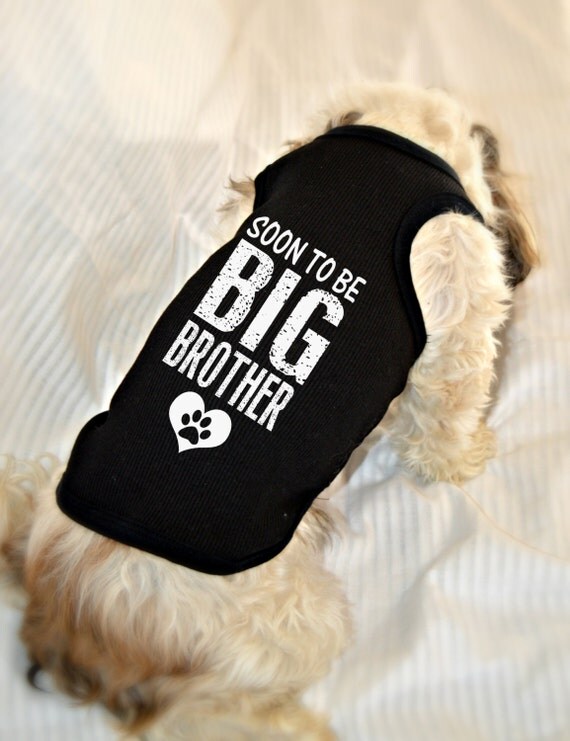 Soon to be Big Brother Dog Shirt. Small Pet Clothes. Gift for