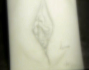 Original Artwork, Graphite Drawing, Anatomical Drawing, Vagina Vulva, Black and White- mature