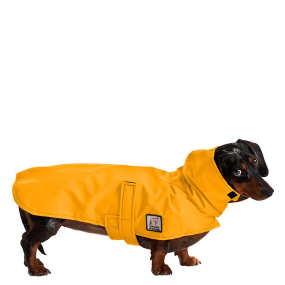 Dashing Doxie Coats The Spoiled Free Shipping Big Small Pet Dog Sweater For Autumn Winter Coats Apparel Personalized Whole