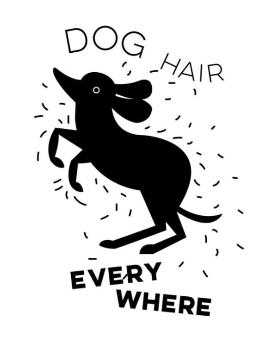 dog hair everywhere t shirt