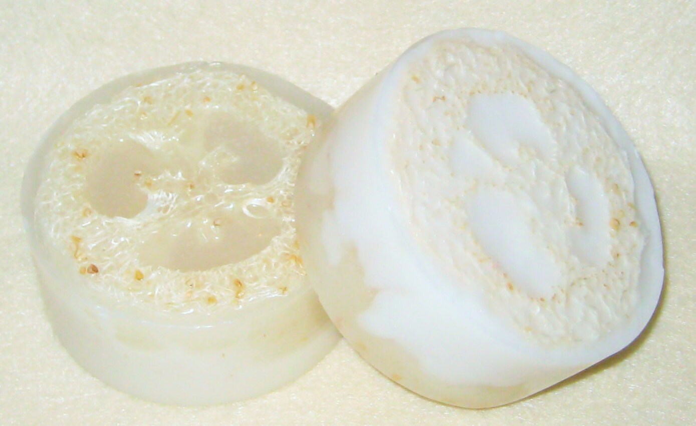 Pedicure Spa Soap Loofah SoapsFoot ScrubbersPediSpa