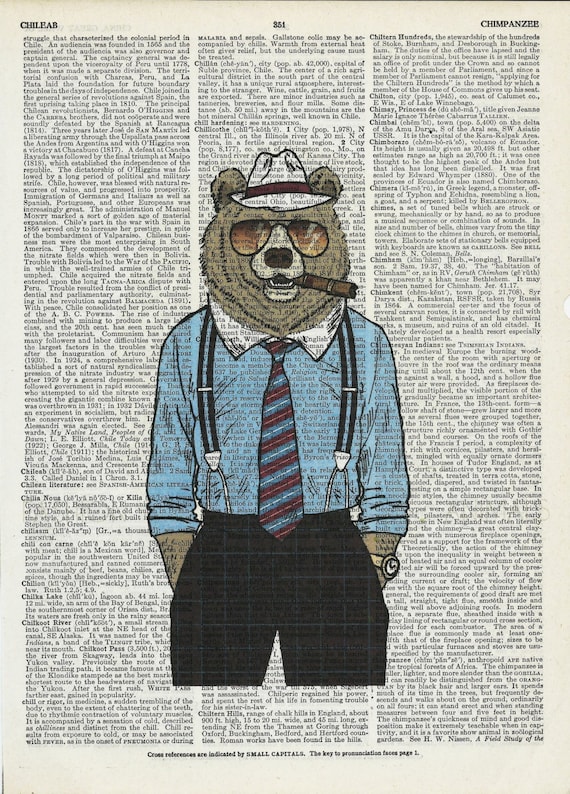 Vintage Art Mr.Bear on Upcycle Vintage Page Book Print Art Print Dictionary Print Collage Print
