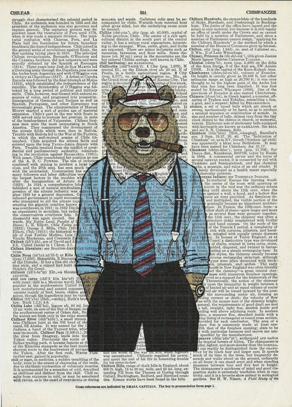 Vintage Art Mr.Bear on Upcycle Vintage Page Book Print Art Print Dictionary Print Collage Print