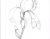 GREETING CARDS 5 x 7" 12 point coverstock Greeting Card with envelope