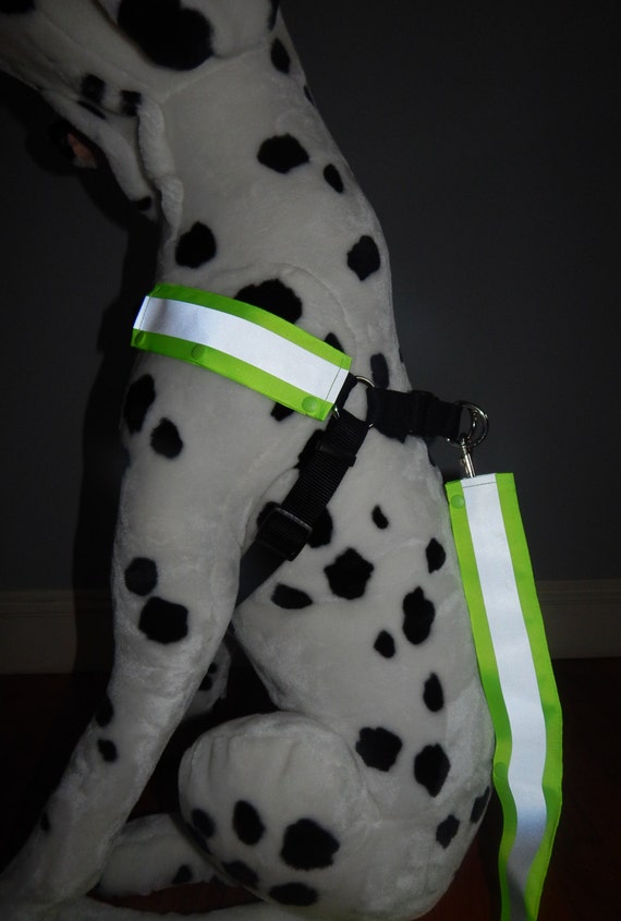 Reflective Leash & Harness Cover with Snap Closure patent by LOFP