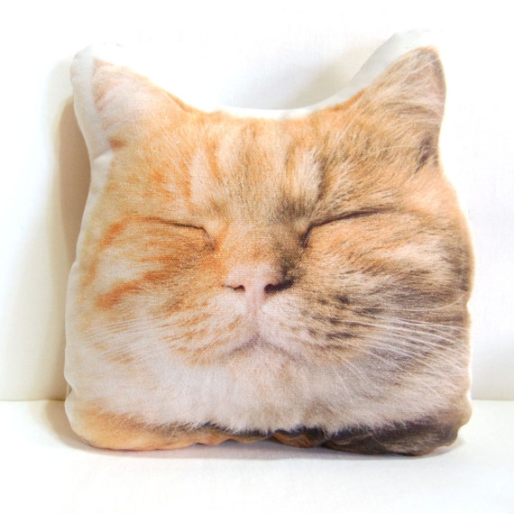 pillow with cat face