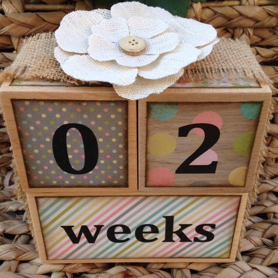 Baby Age Blocks Monthly Age Blocks Weeks by TrinketsandMemories