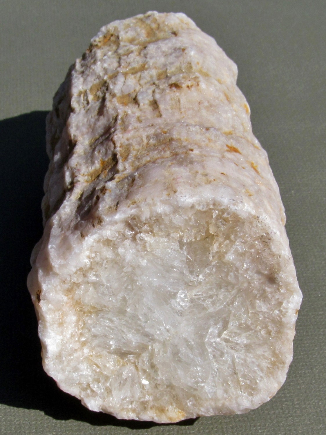 Unique Quartz Fossil Geode Indiana Geodized Fossil Large