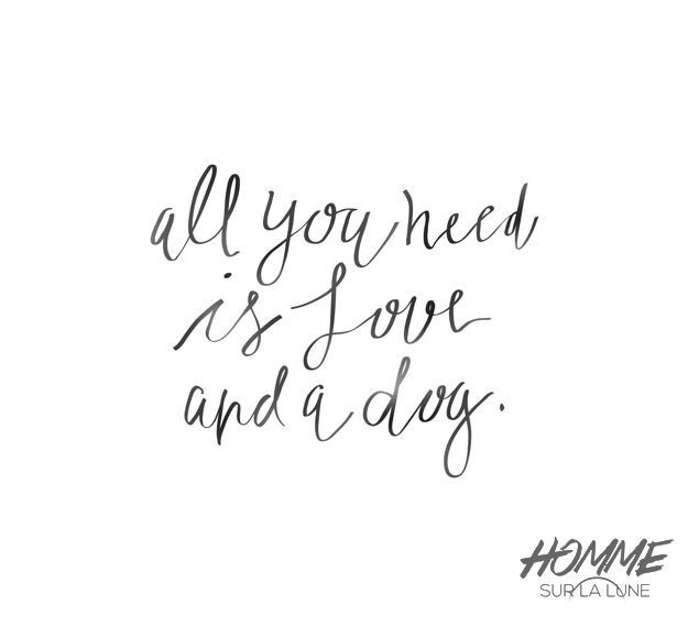 dog quote dog print dog poster dog quote print by HommeSurLaLune
