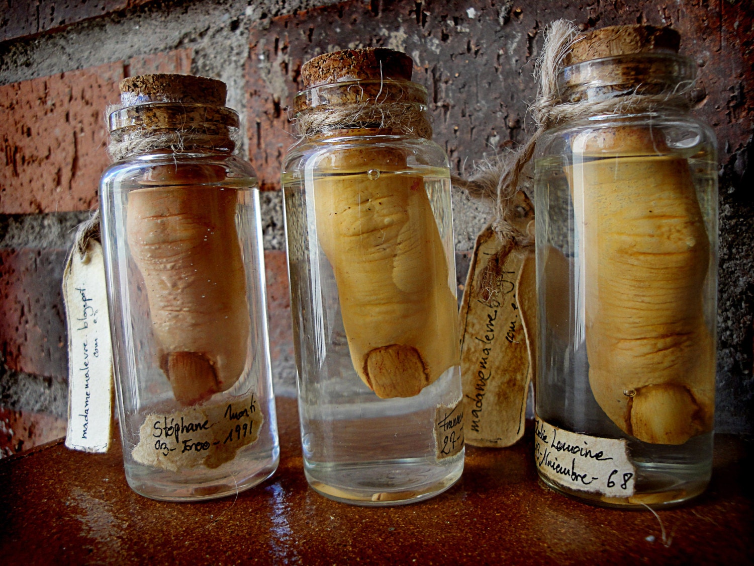 realistic finger in jar Halloween props severed fingers
