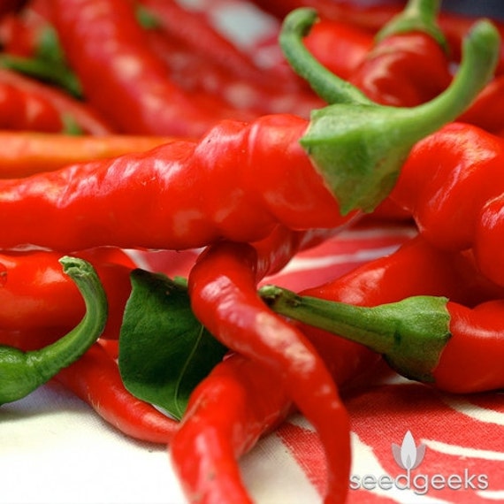 Cayenne Long Red Thin Hot Pepper Heirloom Seeds NonGMO