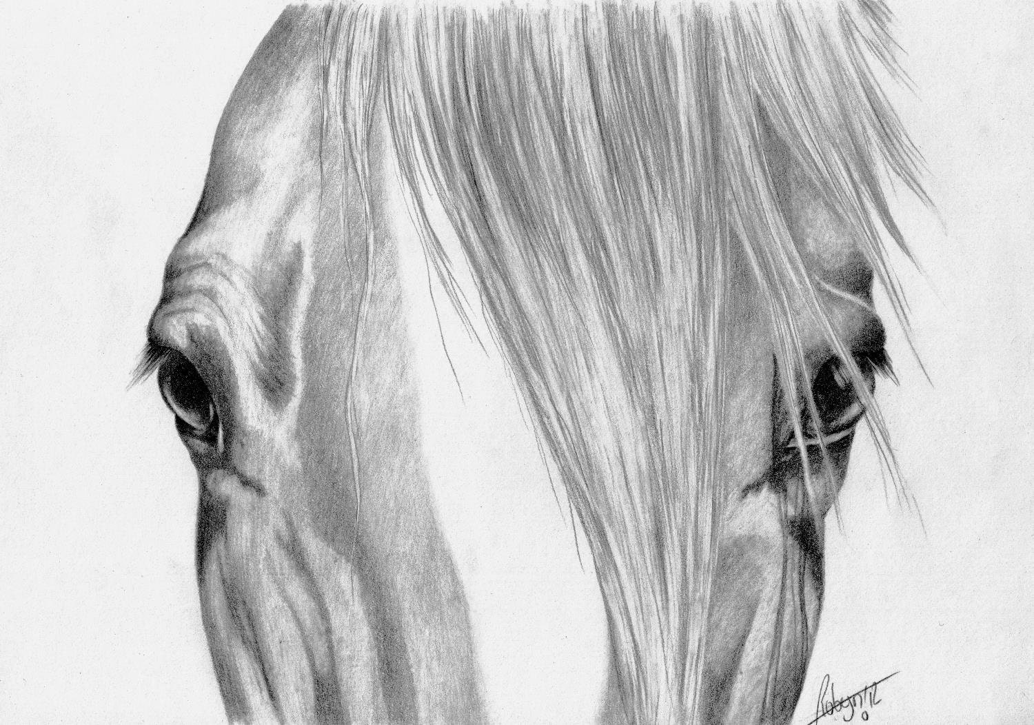  art print graphite pencil drawing horse by RobynsArtisticSide