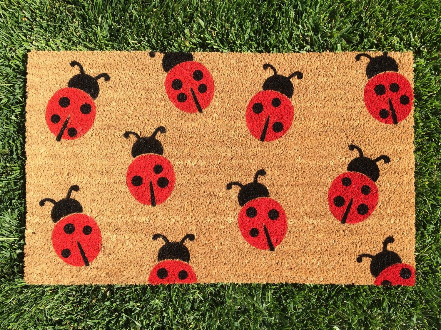 Ladybug Doormat / Handpainted Cute Mat / Outdoor