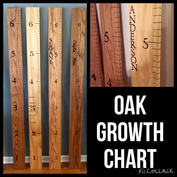 Oak Growth Chart by HandmadesbyHillary on Etsy