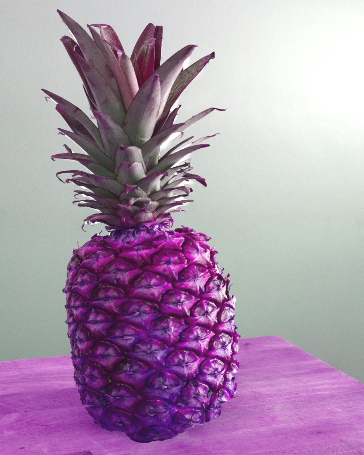 Purple Pineapple Fine Art Photographic Print by emilybcreative