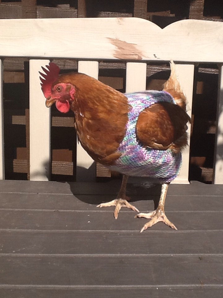 Hand knitted chicken jumper
