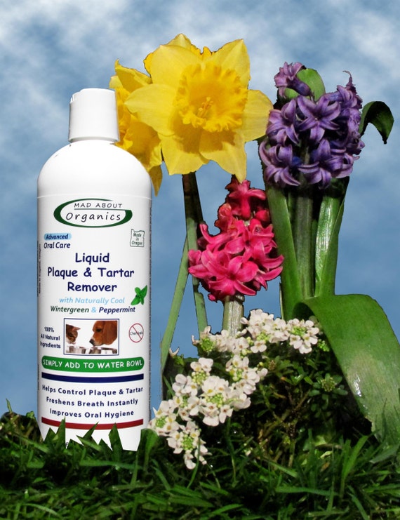 Liquid Tartar and Plaque Remover Water by on Etsy