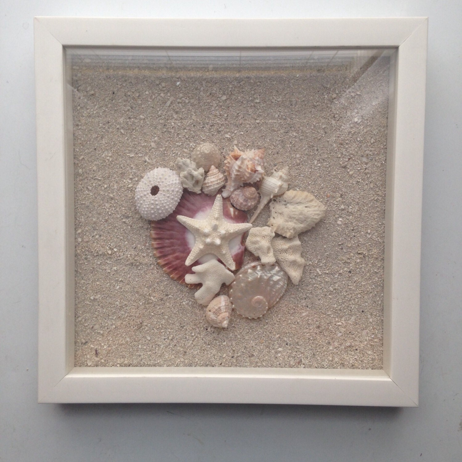 Seashell and Sand Shadow Box Framed Decorative Sea Shell