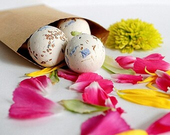 Botanical Seed Bombs ™ 10 Botanical Seed Balls with Wildflower Garden SEEDS Gift for Gardener, Gifts Under 15 dollars