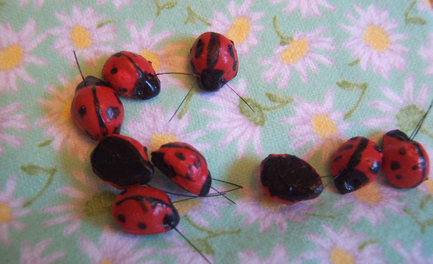 nine itty bitty lady bugs