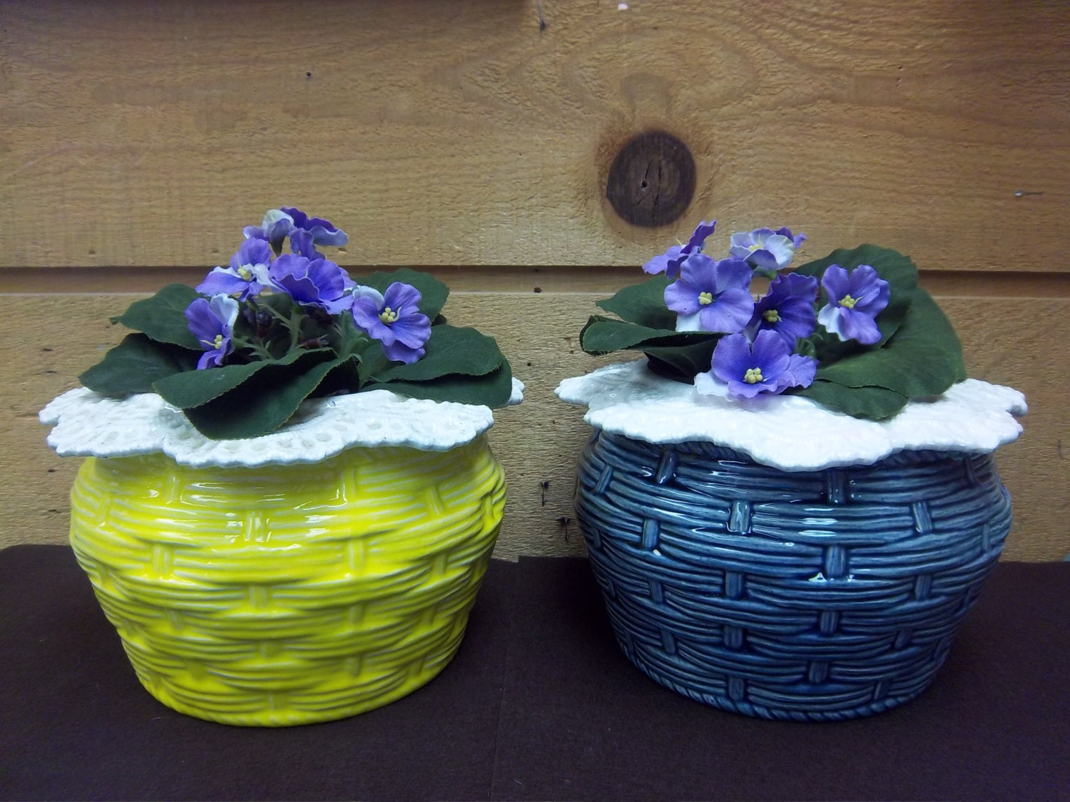 African Violet planter Self watering Wicker design color
