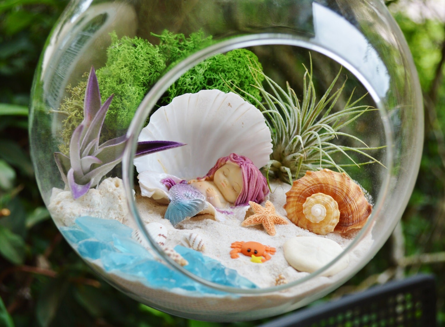 Mermaid Beach Terrarium Kit 2 AirPlants Beach Decor