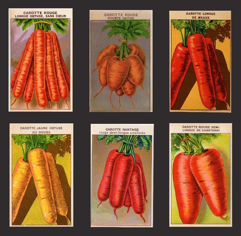 Vintage Vegetable Seed Packet Labels Six by VintageDecorPrints