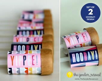Hooray! Confetti Push-Pops for Gender Reveal Parties - Set of 2
