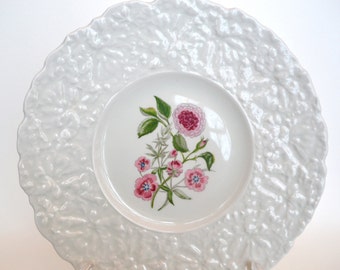 Royal Cauldon Bristol Ironstone Plate,Pumpernel , England