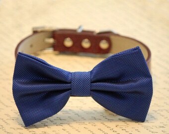 Royal Blue dog bow tie collar - high quality leather and fabric, Blue Wedding accessory, some thing blue, Dog lovers, dog collar