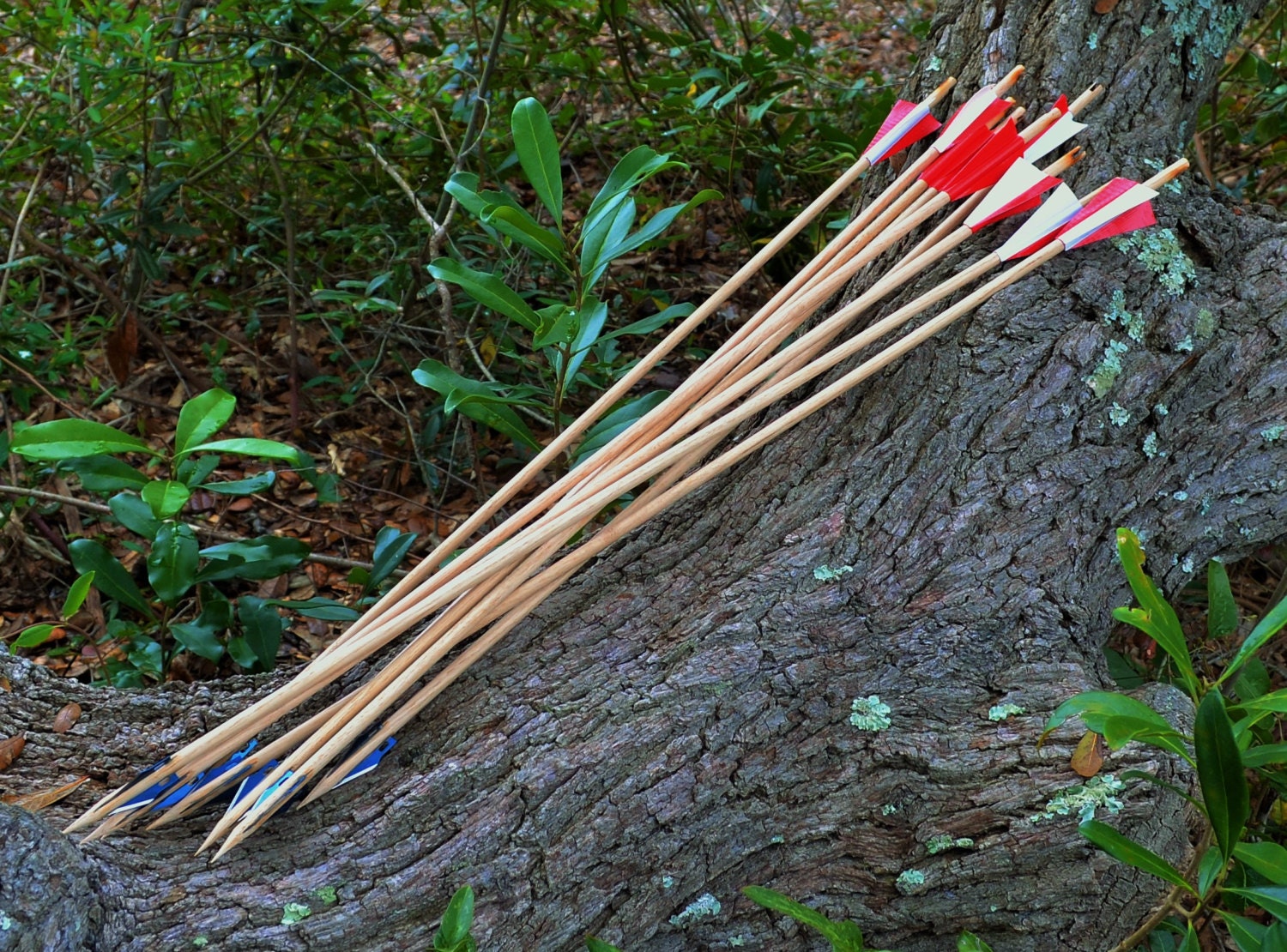 9 Natural Wooden Hunting Arrows with Razor Blades