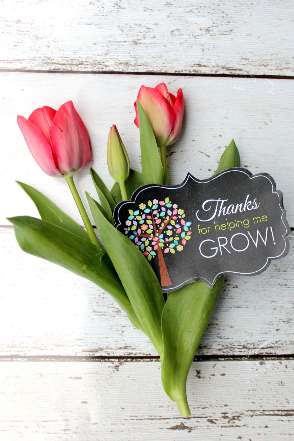 It's just a photo of Amazing Thanks for Helping Me Bloom Printable It's just a picture of Amazing Thanks for Helping Me Bloom Printable