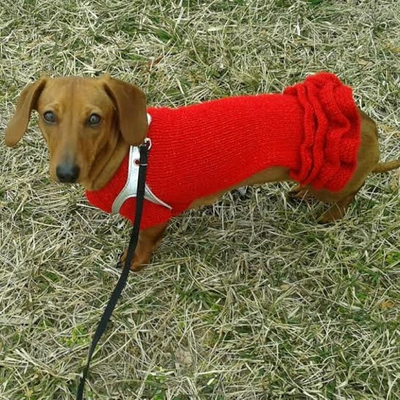 Dachshund dog clothes small dog clothes hand knitted by CUTIEDOG