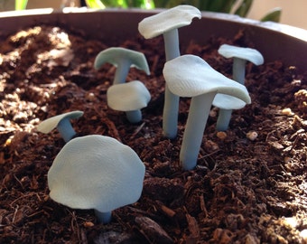 Set of Three Morel Mushrooms Miniature Terrarium by TypicalKat