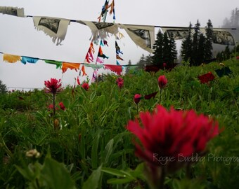 Zen Prayer Flags over Rainier National Park Field - Double Exposure