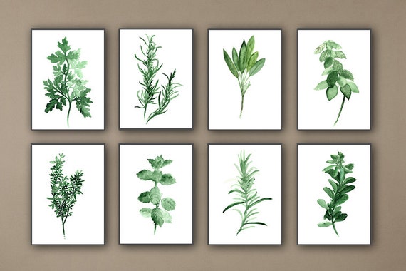 Kitchen Herbs Art Prints Set of 8 Green Botanical Herbalist Kitchen ... Kitchen Herbs Art Prints Set of 8 Green Botanical Herbalist Kitchen ...