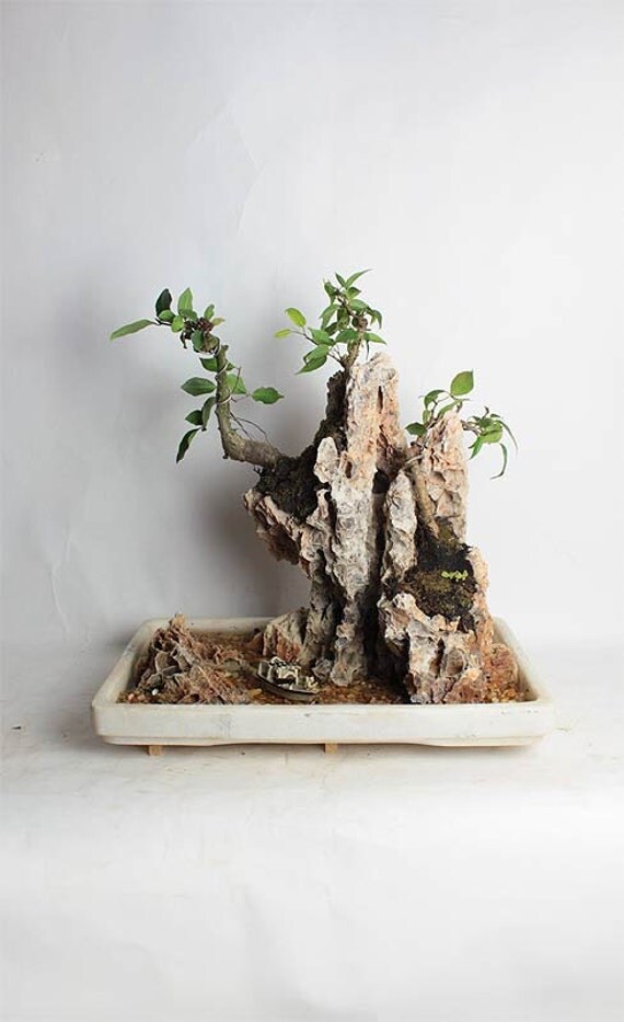 Unavailable Listing on Etsy