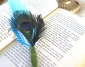 Peacock Feather Boutonniere / Corsage by Talila Korolker